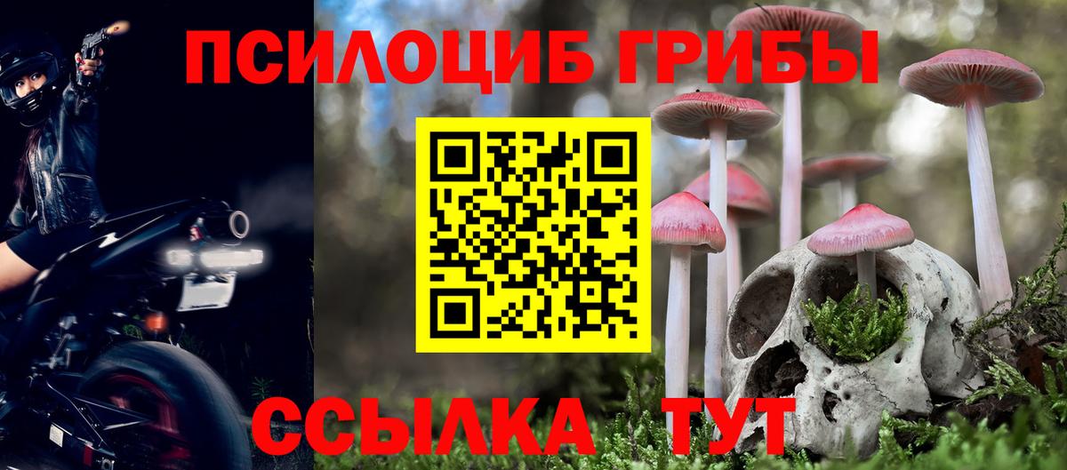 Галлюциногенные грибы Psilocybe  Вход с VPN  Жуковский 